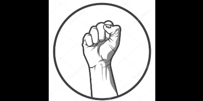 Imagem do Organizador