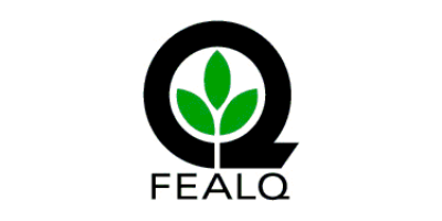 Imagem do Organizador
