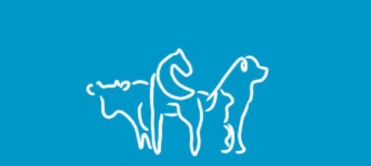 Simpósio Online de Especialidades Veterinárias