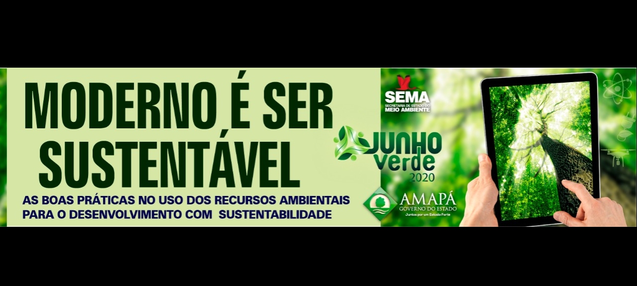 JUNHO VERDE 2020