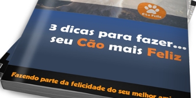 Imagem do Organizador