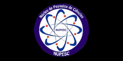 Imagem do Organizador