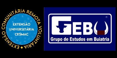 Imagem do Organizador