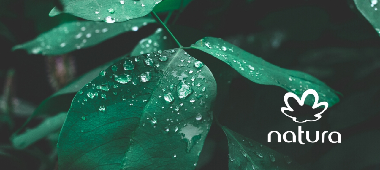 Webinar - 