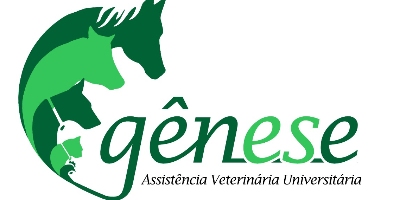 Imagem do Organizador