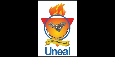 Imagem do Organizador