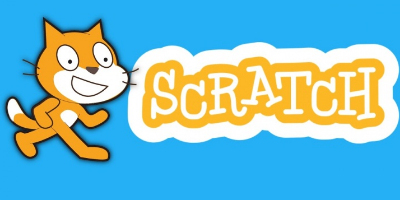 Imagem do Organizador