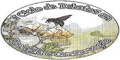 Imagem do Organizador