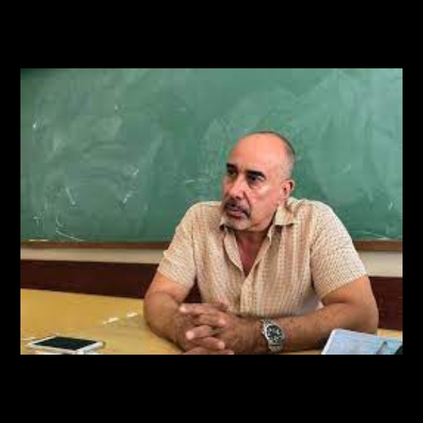 Lamounier Erthal Villela