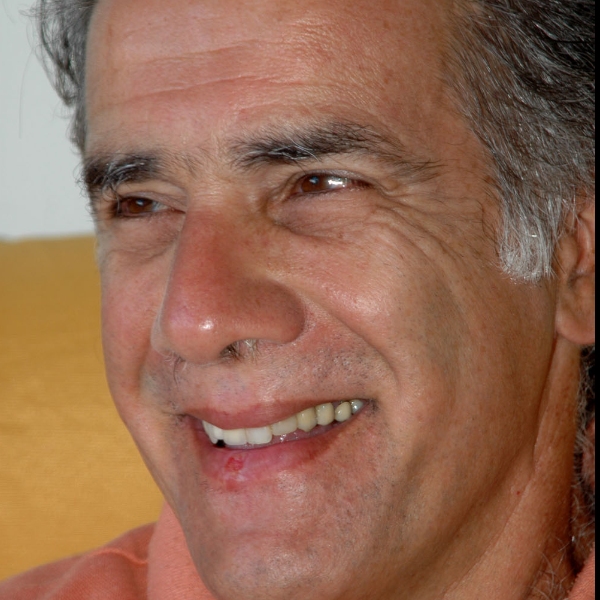 PROF. DR. SÉRGIO ALBERTO FELDMAN (UFES)