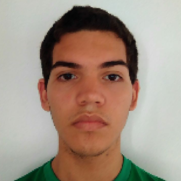 Vinícius Roberto Medeiros de Souza