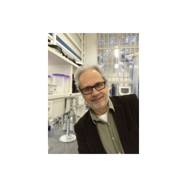 Prof. Marcos Silveira Buckeridge