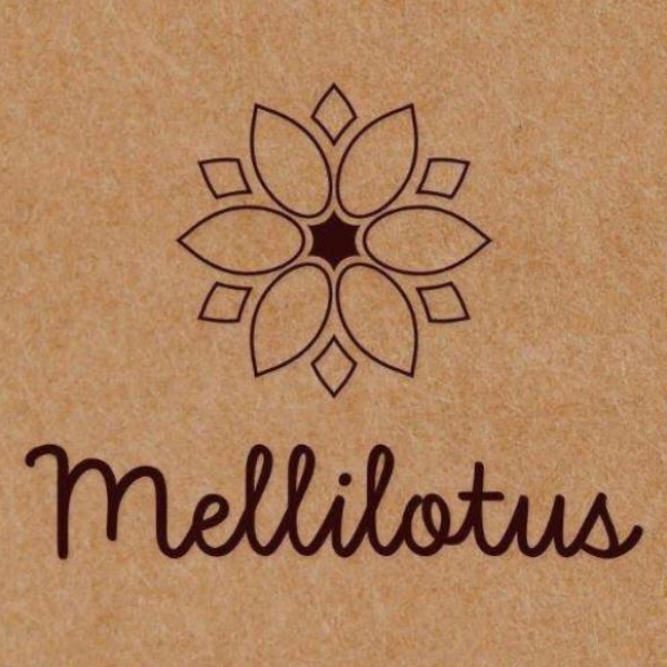 Mellilotus