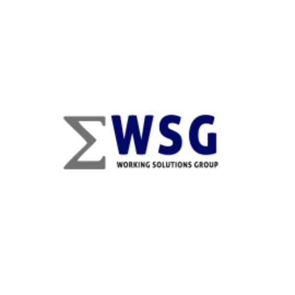 WSG Consultoria