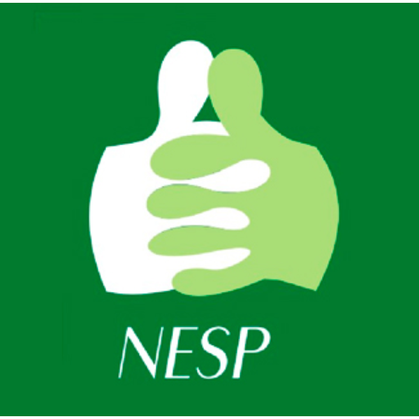 Núcleo de Estudos em Saúde Pública - NESP/UFPI