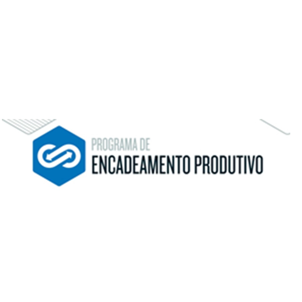 PROGRAMA DE ENCADEAMENTO PRODUTUVO