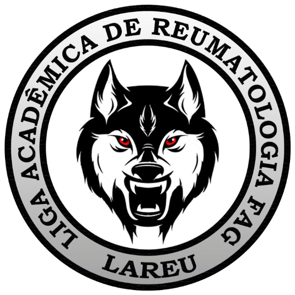 LIGA ORGANIZADORA 