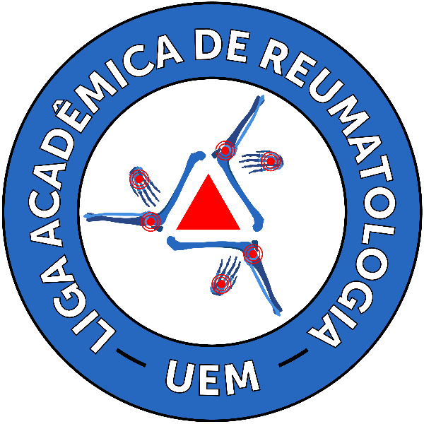 LIGA ORGANIZADORA 