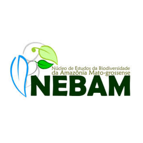 NEBAM