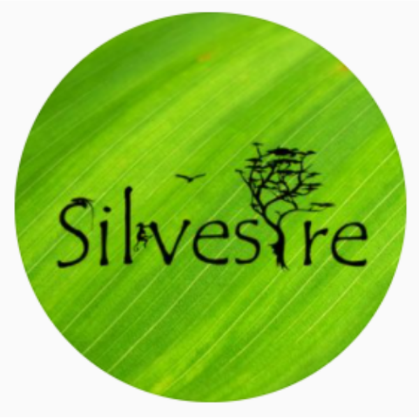 Silvestre 