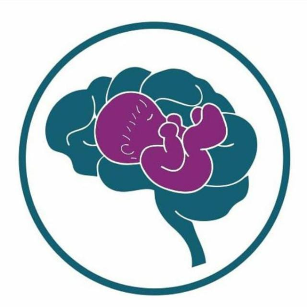 III Simpósio Piauiense Multiprofissional em Neuropediatria e Neonatologia (III SIMPINEURONEO)