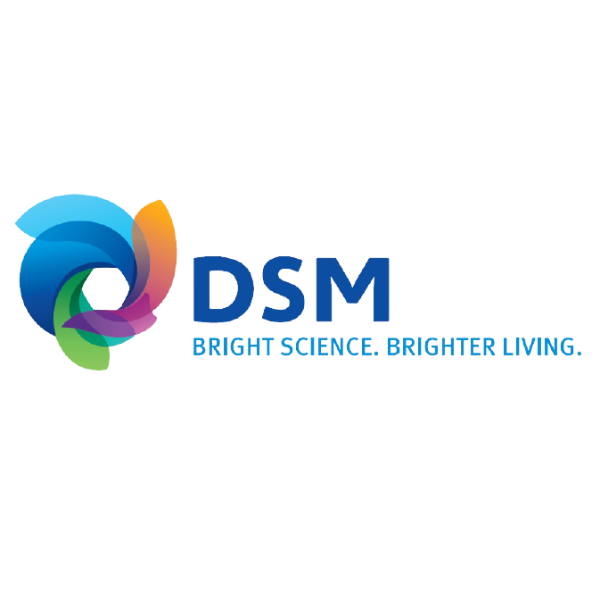 DSM