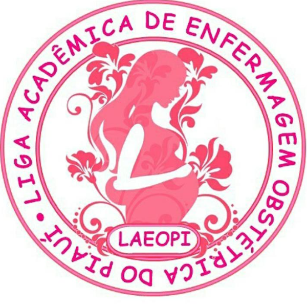 Liga Acadêmica de Enfermagem Obste?trica do Piauí (LAEOPI)