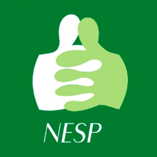 Núcleo de Estudos em Saúde Pública (NESP/UFPI)