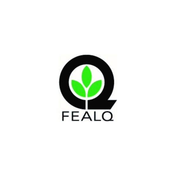 FEALQ