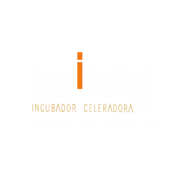 INSITUBG