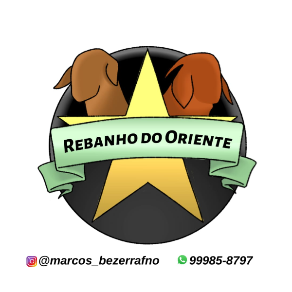 DO ORIENTE