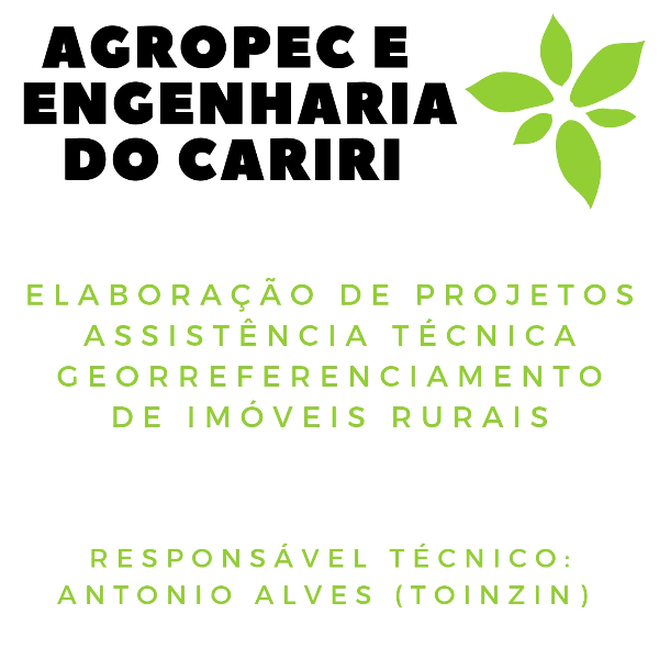 alves projetos