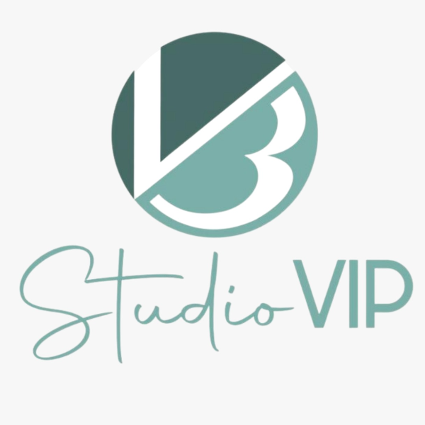 VB Studio VIP