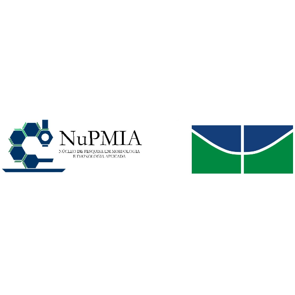 NuPMIA/FM-UnB