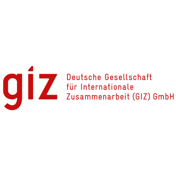 GIZ - 