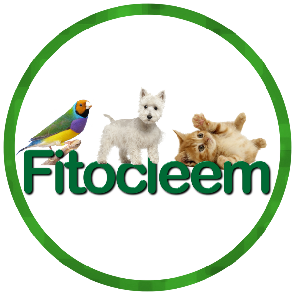 Fitocleem