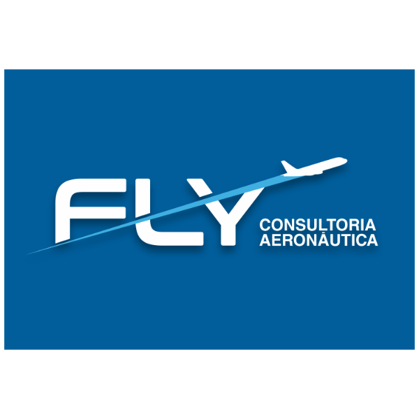 CONSULTORIA FLY