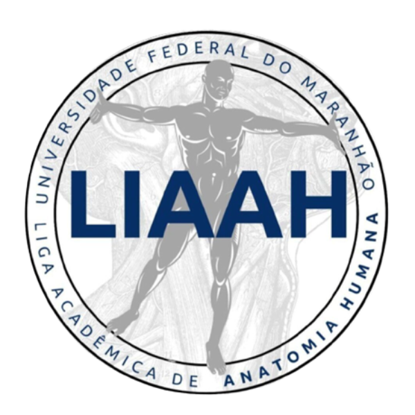 Liga Acadêmica de Anatomia Humana
