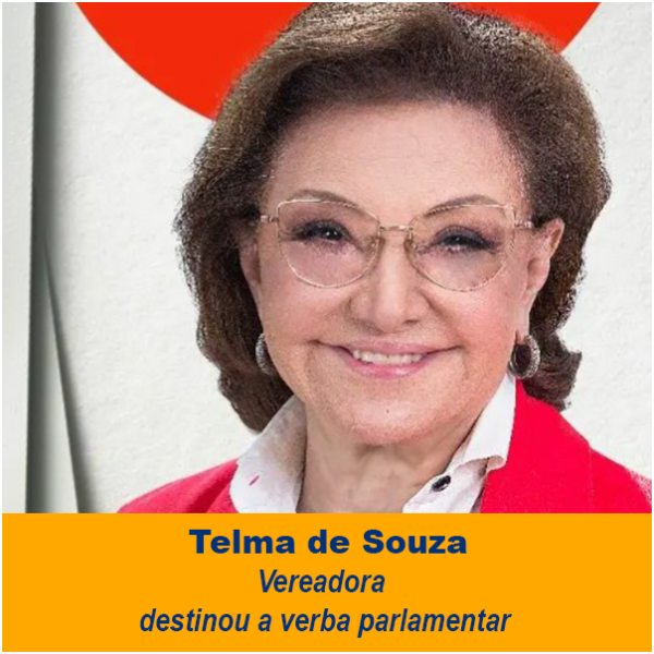 Vereadora Telma de Souza