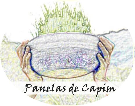 Escola de Vida Sustentável - Pela regeração de nossas florestas internas e externas.