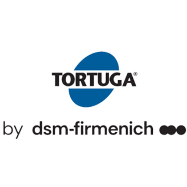 DSM TORTUGA