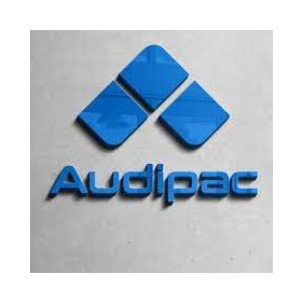 AUDIPAC - AUDITORIA E CONSULTORIA CONTABIL 