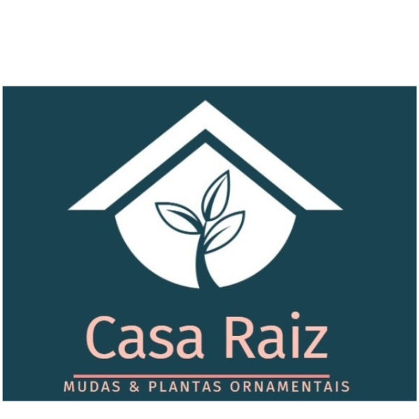 Casa Raiz