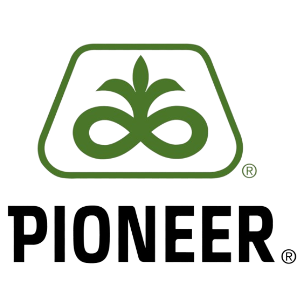 Pioneer