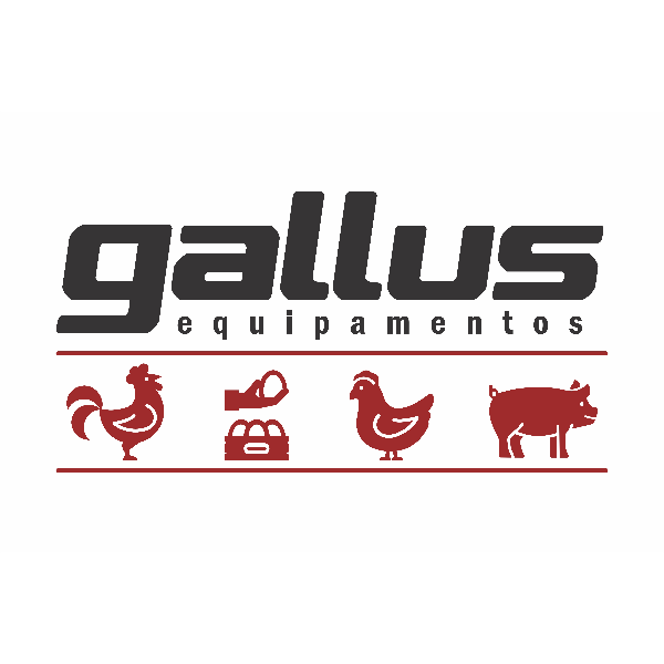 GALLUS
