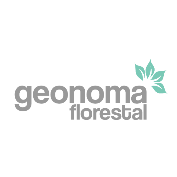 Geonoma Florestal
