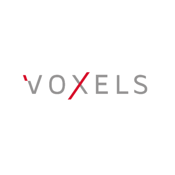 Voxels