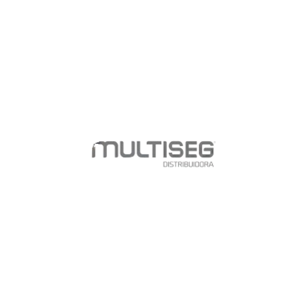 MULTISEG