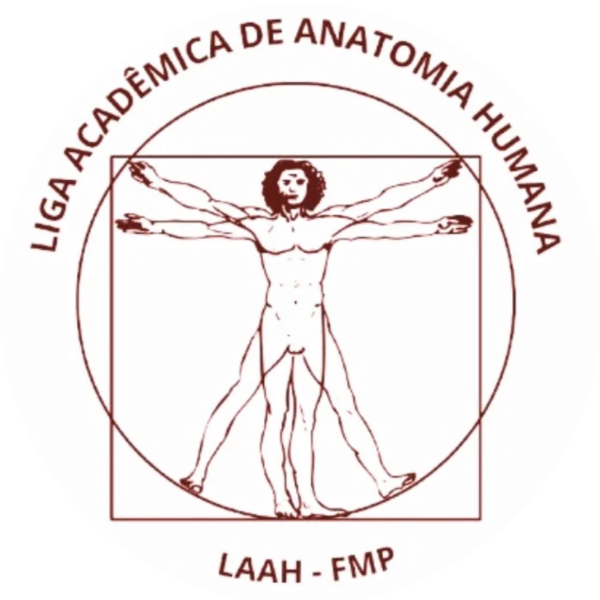 LAAH - Liga Acadêmica de Anatomia Humana / FMP