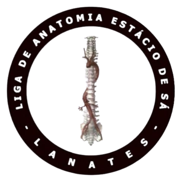 LANATES - Liga de Anatomia Estácio de Sá / IDOMED PV